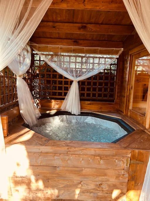 Chalet Bois Jacuzzi Bessan Dış mekan fotoğraf