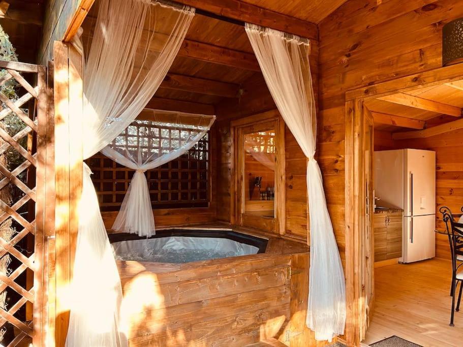 Chalet Bois Jacuzzi Bessan Dış mekan fotoğraf